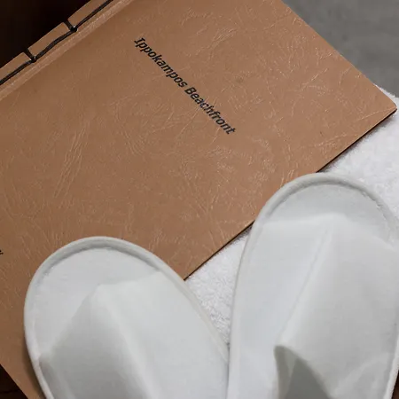 Ippokampos Beachfront Naxos City